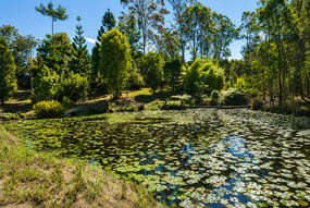 619 Bulldog Road Bulldog NSW 2469