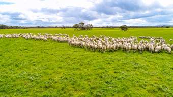 Farm Property for Sale - 2289 Cold and Wet Road Field SA 5265