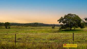 Farm Property for Sale - 308 Turill Bus Route  Turill NSW 2850