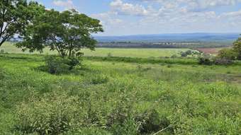 Farm Property for Sale - 308 Bellot Road Tablelands QLD 4605