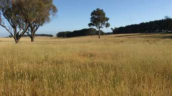 Farm Property for Sale - Oberon NSW 2787