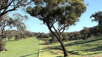 Farm Property for Sale - 967 Northam-Toodyay Road Katrine WA 6401
