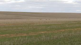 Farm Property for Sale - East Block Allen Rock Road Hyden WA 6359