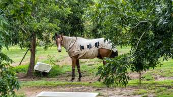 Farm Property for Sale - 6 Vidler Road Hopkins Creek NSW 2484