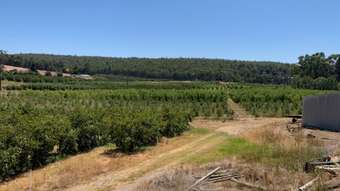 Farm Property for Sale - 211 Pickering Brook Road Pickering Brook WA 6076