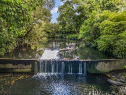 3201 Wallanbah Road Dyers Crossing NSW 2429