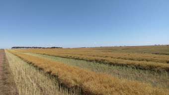 Farm Property for Sale - 430 Padgetts Lane Wallinduc VIC 3351