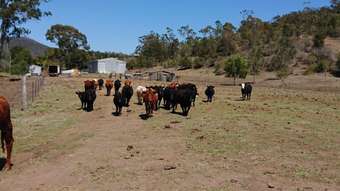 Farm Property for Sale - 7 Flagstone Flagstone Creek QLD 4344