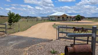Farm Property for Sale - 171 South Street Allora QLD 4362