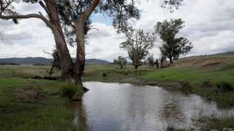 Farm Property for Sale - Eugowra NSW 2806