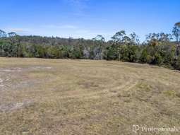 Farm Property for Sale - Lot 1 - 91 Jackson Road Black Snake QLD 4600