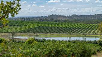 Farm Property for Sale - 111 Old Gayndah Mundubbera Road Gayndah QLD 4625