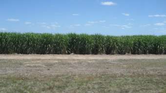 Farm Property for Sale - Upper Haughton QLD 4809