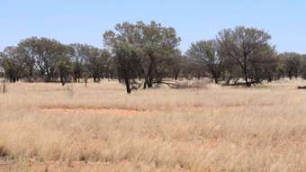 Farm Property for Sale - "Wath 4751 Hungerford Road Thargomindah QLD 4492