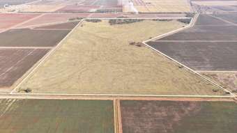 Farm Property for Sale - Puntoriero Road Whitton NSW 2705