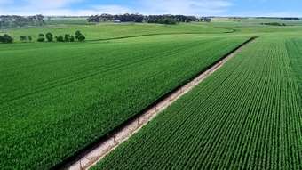 Farm Property for Sale - 1030 Linton Road Mount Bute VIC 3324