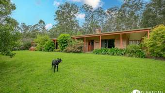 Farm Property for Sale - 42 White Rocks Road Collombatti NSW 2440