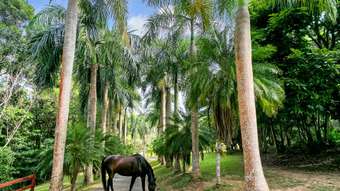 Farm Property for Sale - 63 Masons Road Kuranda QLD 4881