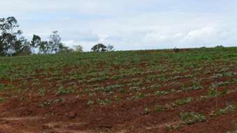 Farm Property for Sale - 120 Gilgai Road Delan QLD 4671