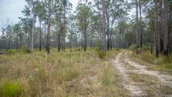 Farm Property for Sale - 920 Cedar Party Road Cedar Party NSW 2429