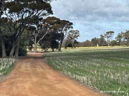 Farm Property for Sale - . "Red Hill", Bagnalls Road Dumbleyung WA 6350