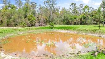 Farm Property for Sale - 793 Gin Gin Mount Perry Road Moolboolaman QLD 4671