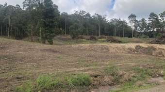 Farm Property for Sale - 823 Upper Myall Road Warranulla NSW 2423