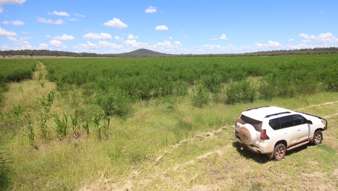 Farm Property for Sale - Lot 55 & 7 Burnett Highway Eidsvold QLD 4627