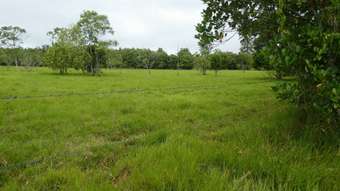 Farm Property for Sale - Mena Creek QLD 4871