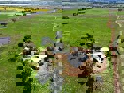 Farm Property for Sale - 443 Wirrimah Road,Bendick Murrell Wirrimah NSW 2803