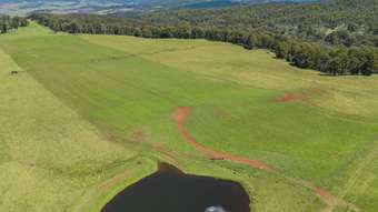 Farm Property for Sale - 4590 Brackendale Road Nowendoc NSW 2354