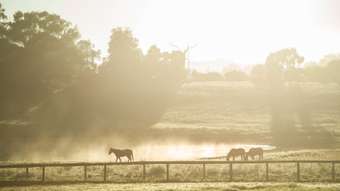 Farm Property for Sale - 154 Diggings Road (adj. Mylor &amp; Echunga) Chapel Hill SA 5153