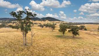Farm Property for Sale - 68 MILBURN CREEK ROAD Woodstock NSW 2793