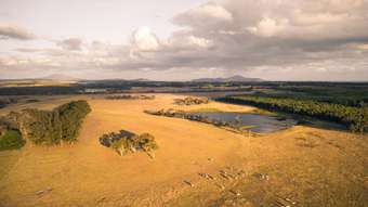 Farm Property for Sale - Lot 3583 McDonald Road Kalgan WA 6330