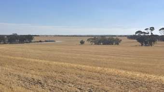 Farm Property for Sale - 544 Tincurrin Road Tincurrin WA 6361