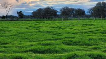 Farm Property for Sale - 2  Makepeace Lane Rochester VIC 3561