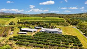 Farm Property for Sale - 119 McLeod Road Mutchilba QLD 4872