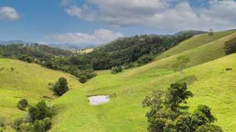 Farm Property for Sale - 1609 Toms Creek Road Toms Creek NSW 2446