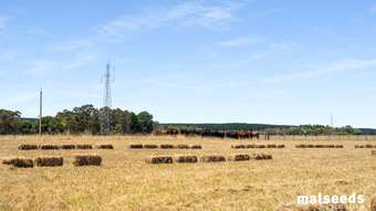 Farm Property for Sale -  Rocky Camp Road Rocky Camp SA 5280