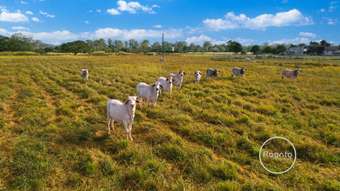 Farm Property for Sale - 41 Rush Road Biboohra QLD 4880