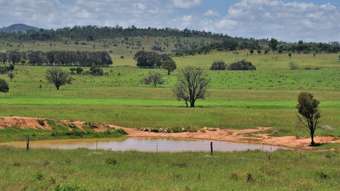 Farm Property for Sale - 'Uralla' 200 Morelands Road Dululu QLD 4702
