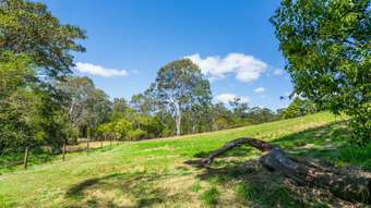 Farm Property for Sale - 96 Lawnville Road Black Mountain QLD 4563