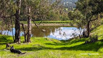 Farm Property for Sale - 6000 Great Northern Highway Bindoon WA 6502