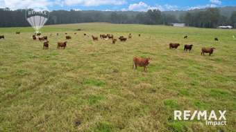 Farm Property for Sale - 209 Elms Road Wondecla QLD 4887