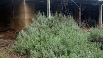 Farm Property for Sale - Lot 11 Asher Road Paulls Valley WA 6076