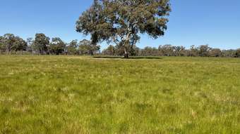 Farm Property for Sale - 399 Henty Highway Brimpaen VIC 3401