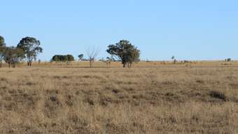 Farm Property for Sale - 47 EUTHULLA ROAD Roma QLD 4455