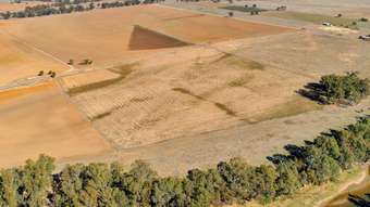Farm Property for Sale - Riverview  The Falls Road Dubbo NSW 2830