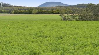 Farm Property for Sale - 200 McGuigans Road Millbrook VIC 3352