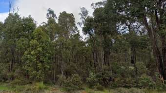 Farm Property for Sale - Mundays Ro Road Quindanning WA 6391